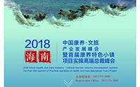 玖米文旅事业部经理人惊艳亮相2018中国康养·文旅产业发展峰会